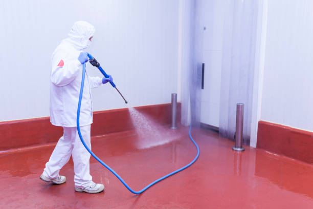 Best Roof Washing  in Montevideo, MN