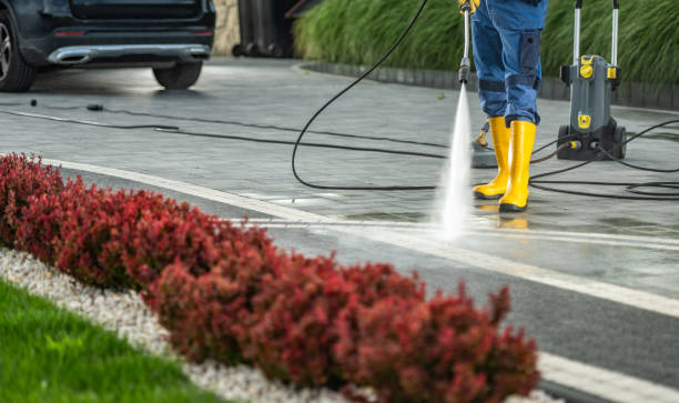 Best Building Exterior Washing  in Montevideo, MN